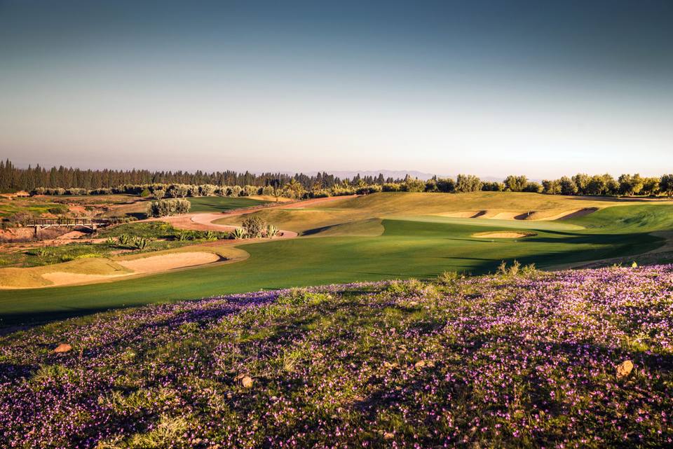 Assoufid Golf Club : fairway et bunkers derrière une prairie fleurie