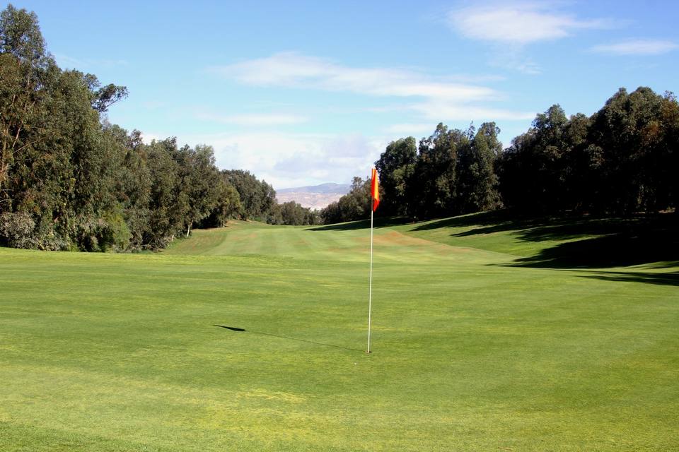 Golf de l'Océan : fairway boisé, drapeau, collines au fond