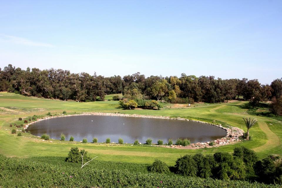Golf de l'Océan : étang au cœur du parcours boisé