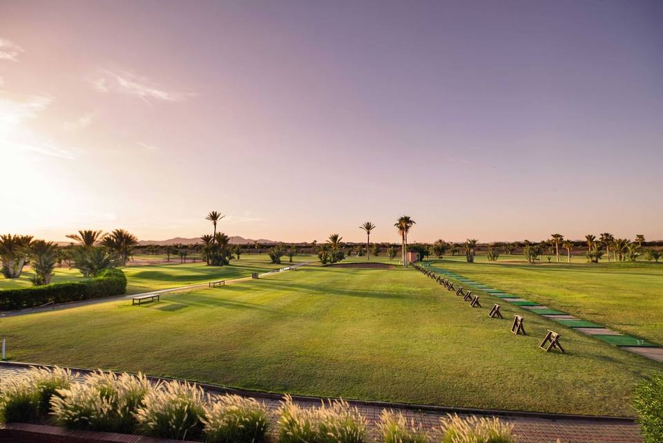 Golf de la Palmeraie : practice au couchant, palmiers alignés