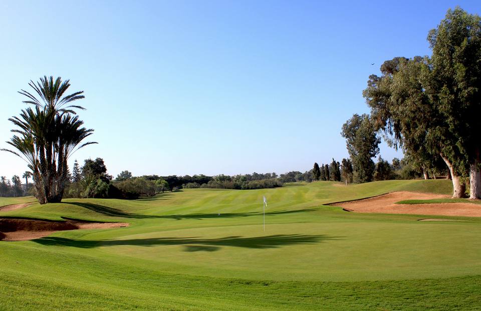 Golf du Soleil : green, bunkers, palmier et eucalyptus