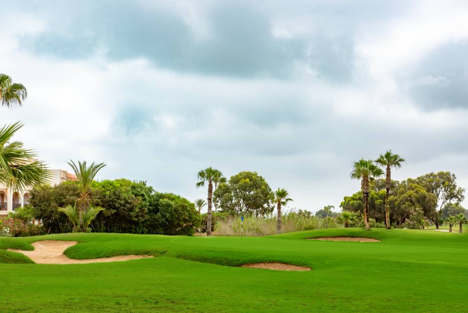 Golf Lacs : green, bunkers et palmiers