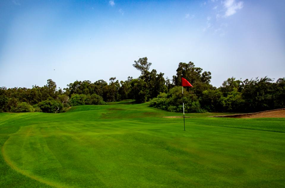 Golf Les Dunes : green au drapeau rouge, bois autour