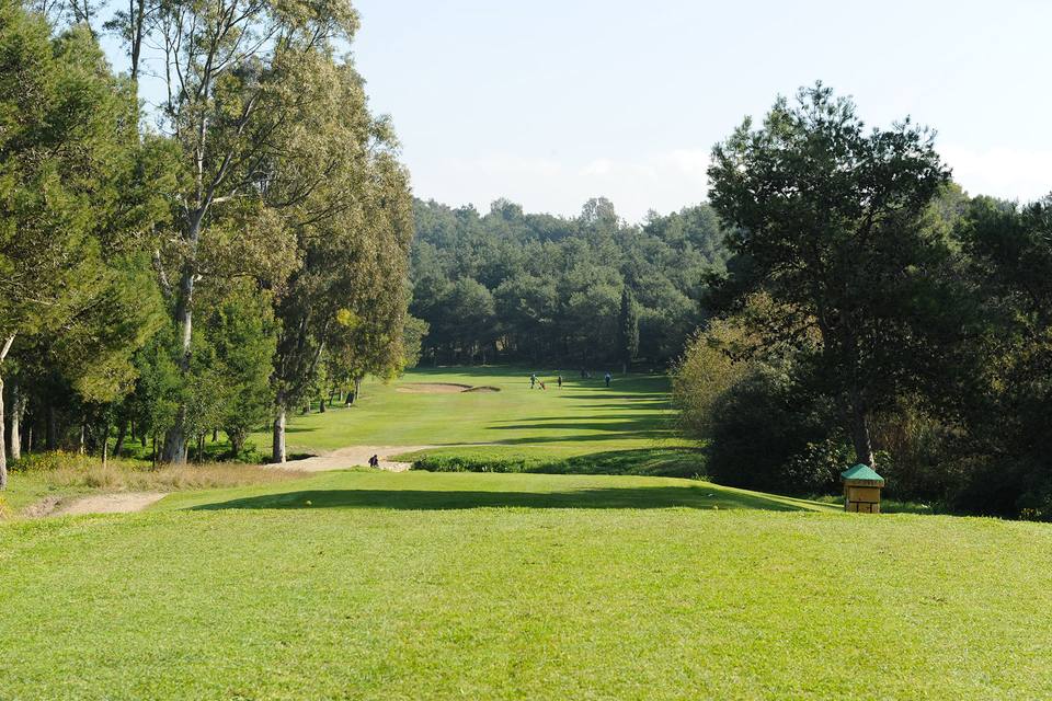 Royal Country Club de Tanger : départ face au fairway entre les arbres
