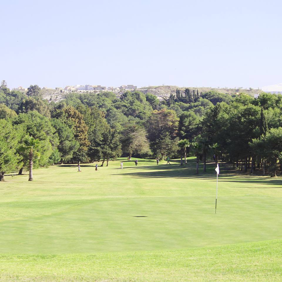 Royal Country Club de Tanger : green au drapeau, pinède, habitations au fond