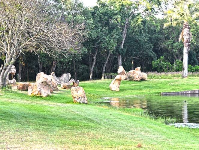 Royal Golf Dar Es Salam — parcours Rouge : bord de lac, rochers et arbres