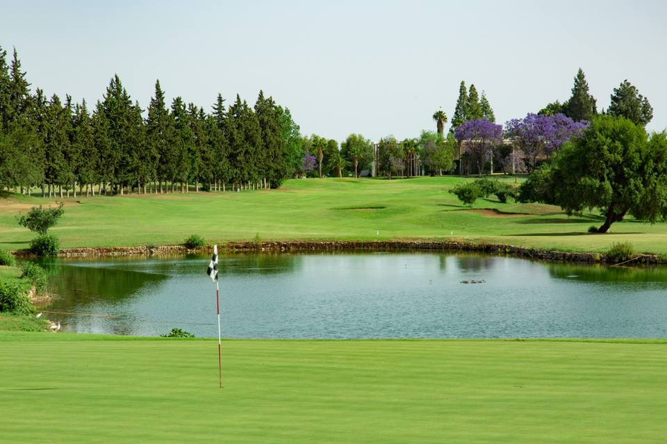 Royal Golf de Fès : green, lac et jacarandas en fleurs