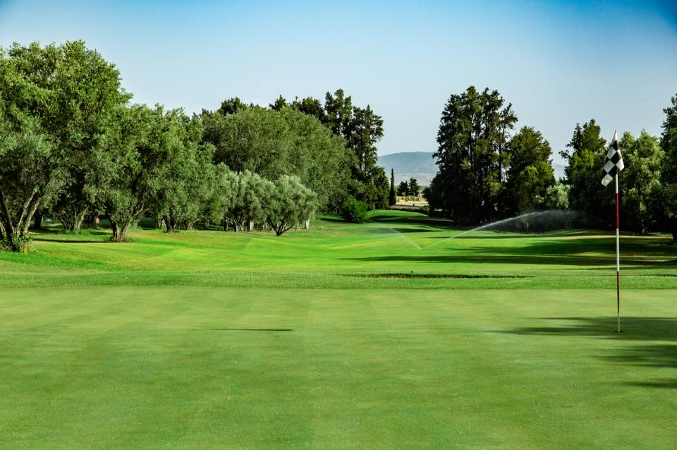 Royal Golf de Fès : fairway, drapeau, oliviers et collines