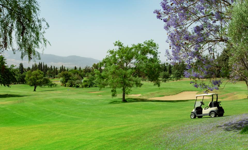 Royal Golf de Fès : fairway, bunker, jacaranda et montagnes