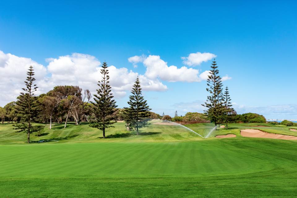 Royal Golf El Jadida : green bordé de conifères, bunkers