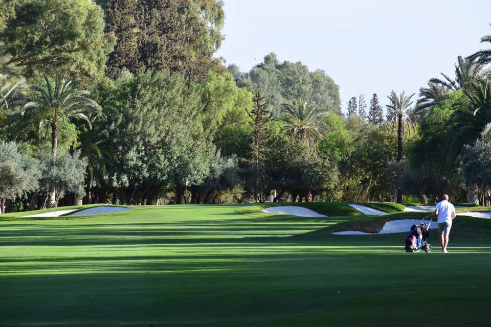 Royal Golf Marrakech : trou 13 de l'Old Course, bunkers