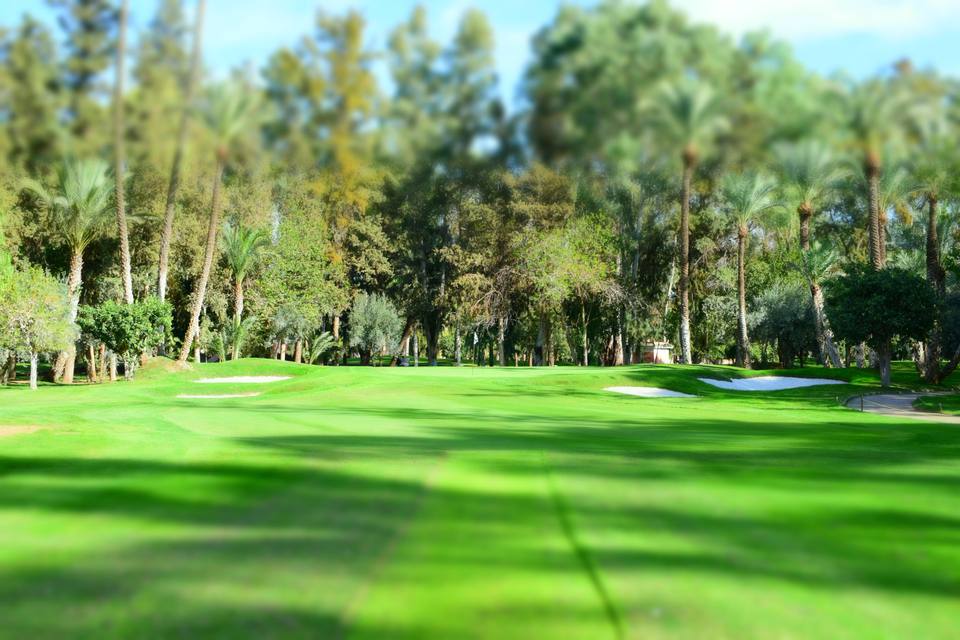 Royal Golf Marrakech : trou 3 de l'Old Course, jardin arboré