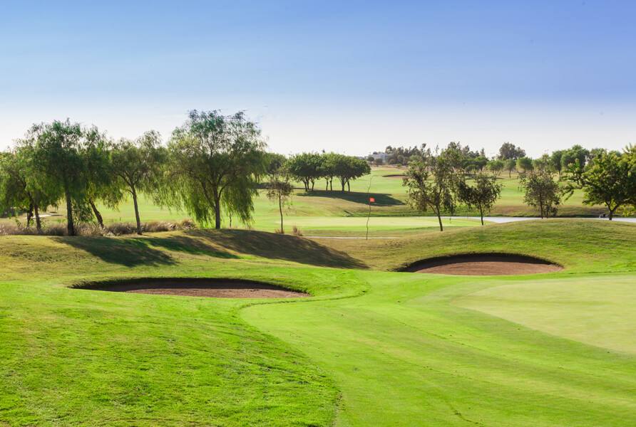 The Tony Jacklin Casablanca : bunkers et green bordés d'arbres